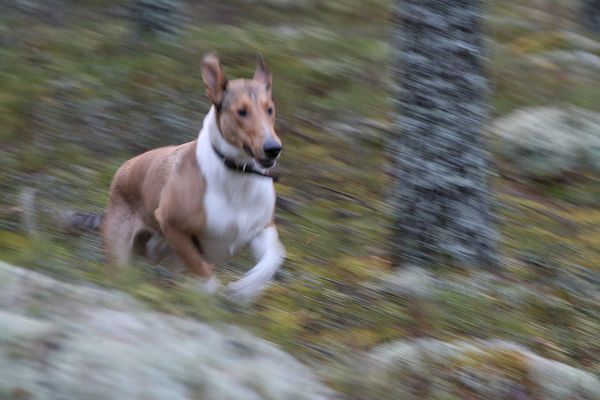 Klikkaamalla seuraava kuva