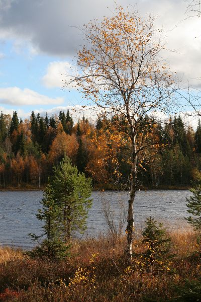 Klikkaamalla seuraava kuva