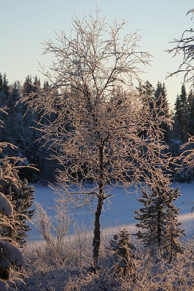 Klikkaamalla seuraava kuva