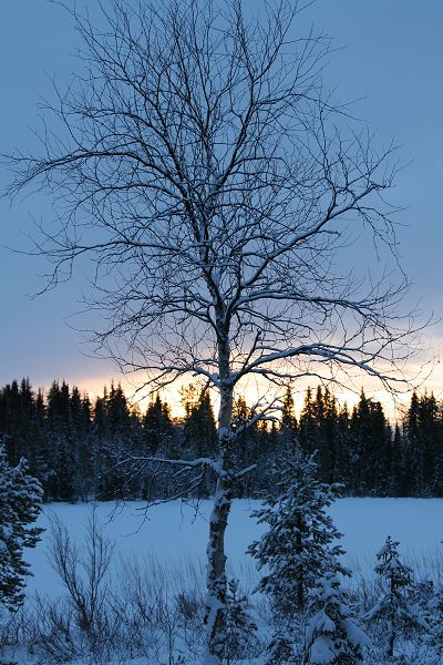 Klikkaamalla seuraava kuva