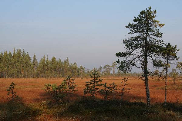 Klikkaamalla seuraava kuva