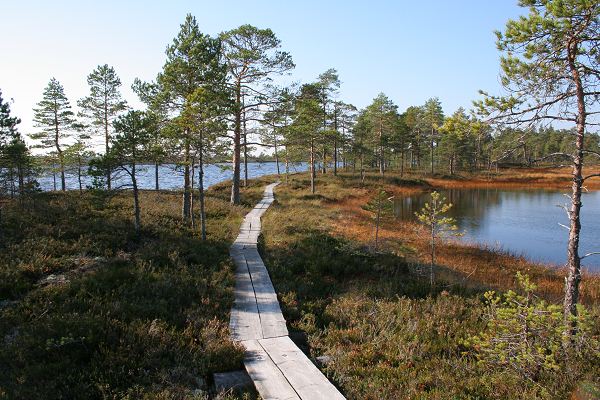 Klikkaamalla seuraava kuva