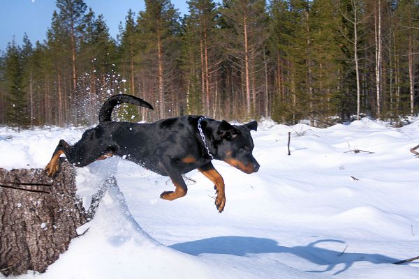 Klikkaamalla seuraava kuva