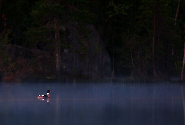 Klikkaamalla seuraava kuva