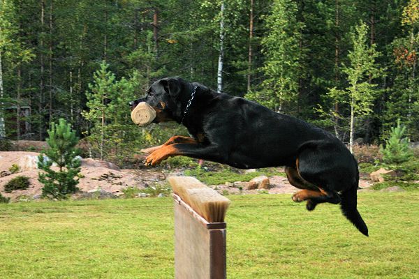 Klikkaamalla seuraava kuva