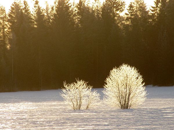 Klikkaamalla seuraava kuva