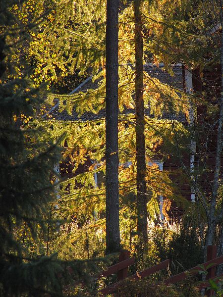 Klikkaamalla seuraava kuva