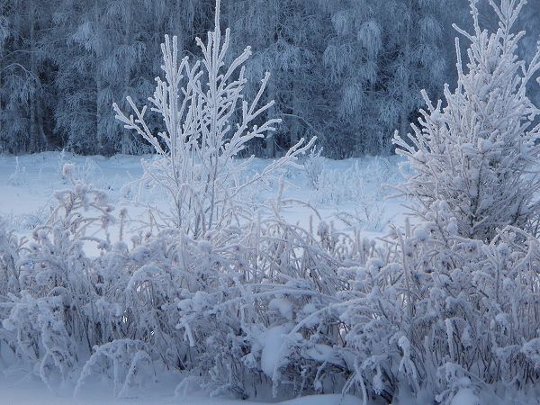 Klikkaamalla seuraava kuva