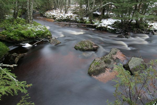 Klikkaamalla seuraava kuva