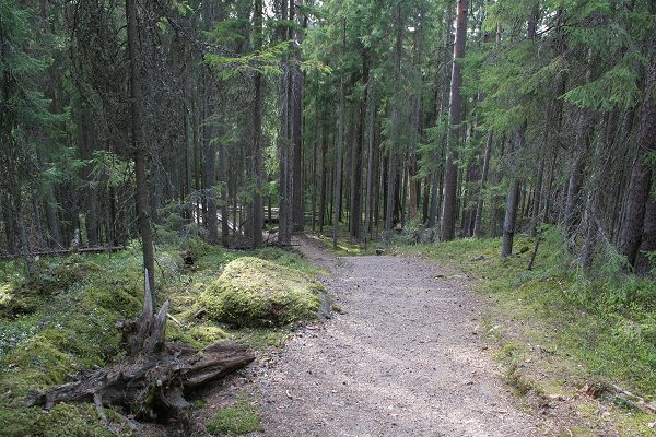 Klikkaamalla seuraava kuva