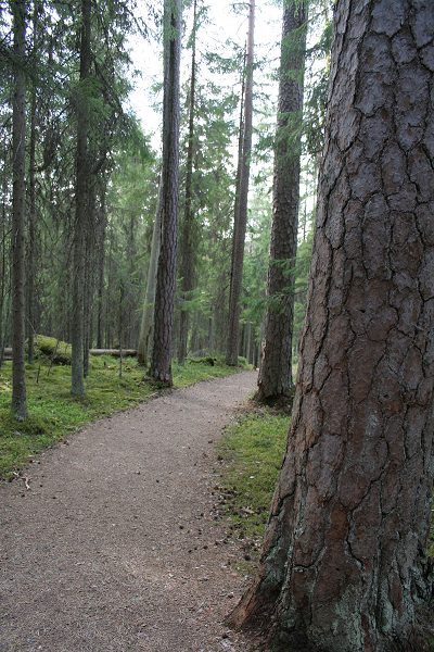 Klikkaamalla seuraava kuva