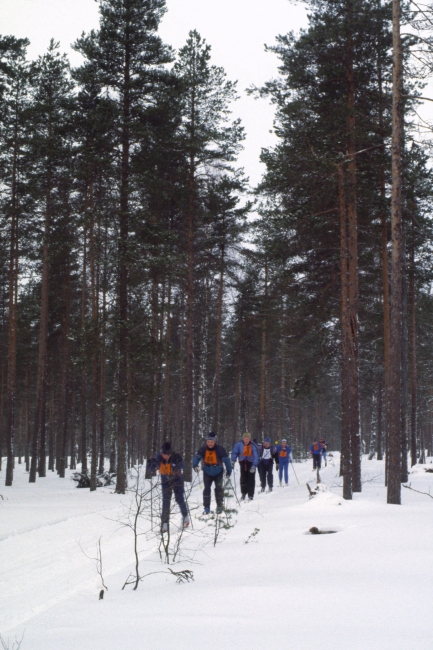 Klikkaamalla seuraava kuva