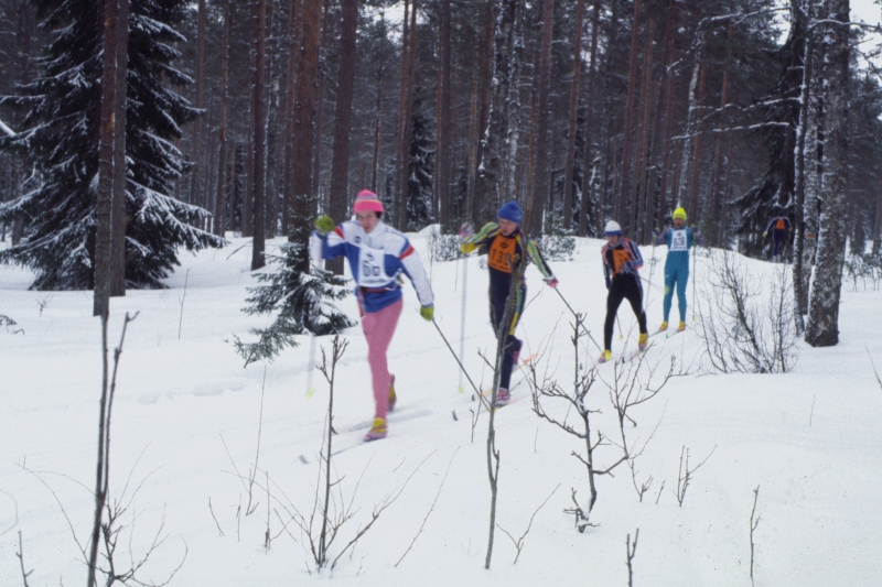 Klikkaamalla seuraava kuva