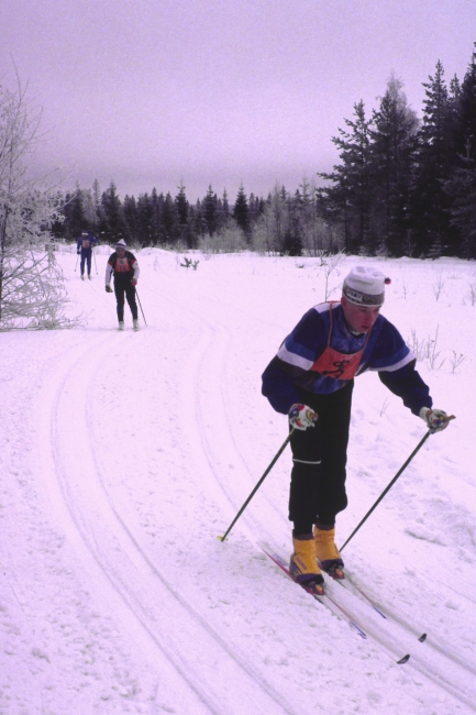 Klikkaamalla seuraava kuva