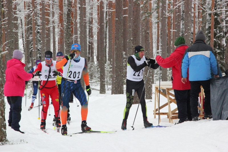 Klikkaamalla seuraava kuva