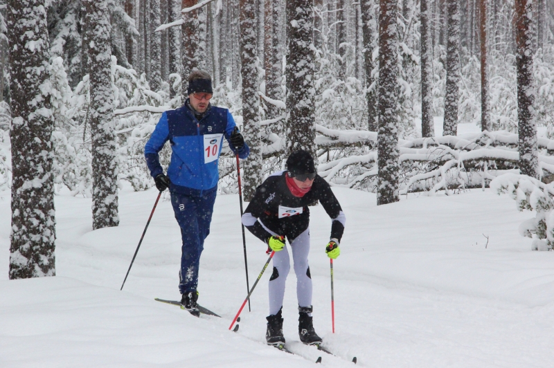 Klikkaamalla seuraava kuva