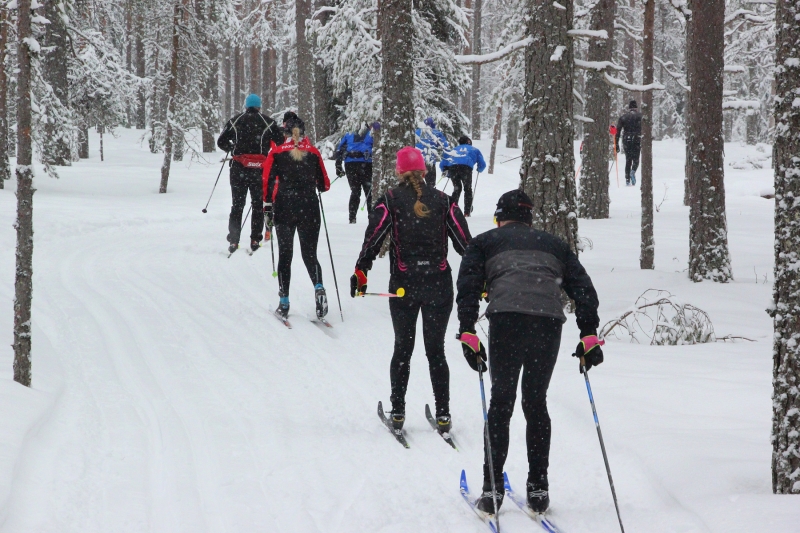 Klikkaamalla seuraava kuva