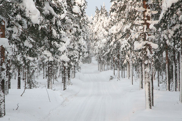 Klikkaamalla seuraava kuva