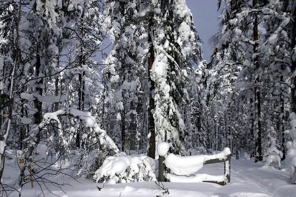 Klikkaamalla seuraava kuva