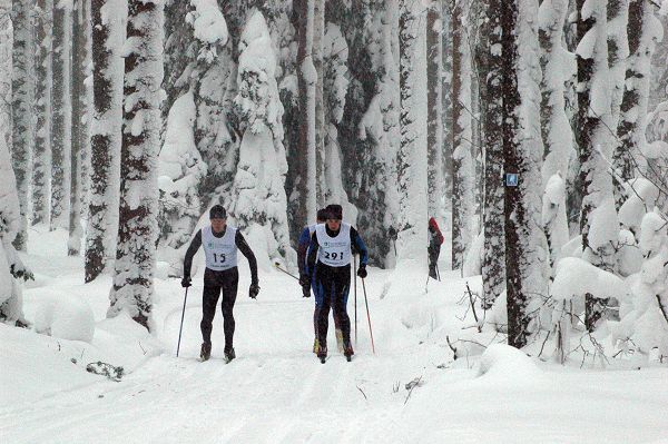 Klikkaamalla seuraava kuva