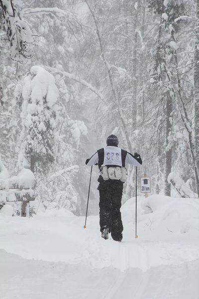 Klikkaamalla seuraava kuva