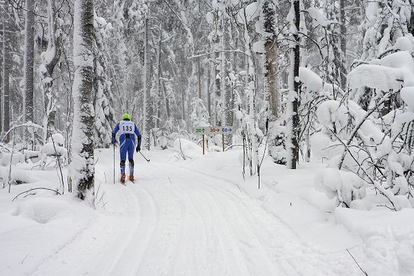 Klikkaamalla seuraava kuva