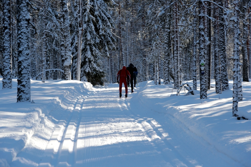 Klikkaamalla seuraava kuva